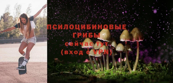 МДПВ Липки