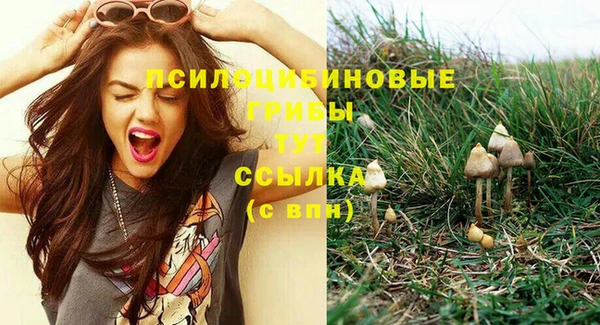 соль ск Лиски