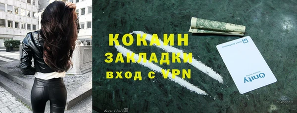 соль ск Лиски