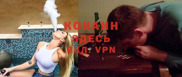 МДПВ Липки