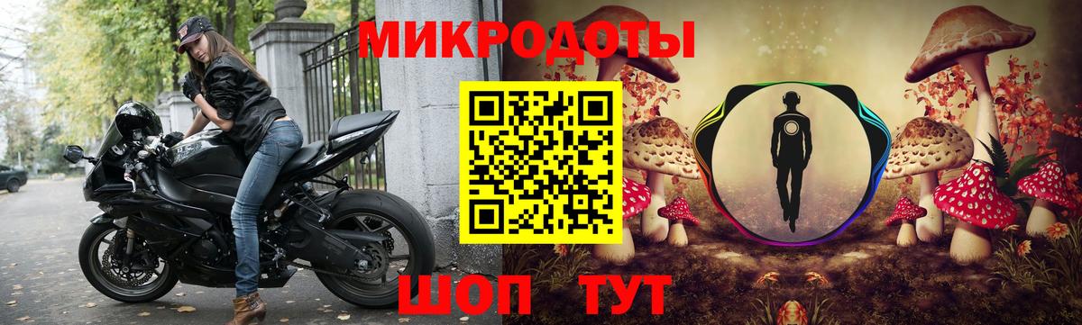 Псилоцибиновые грибы Cubensis Черемхово