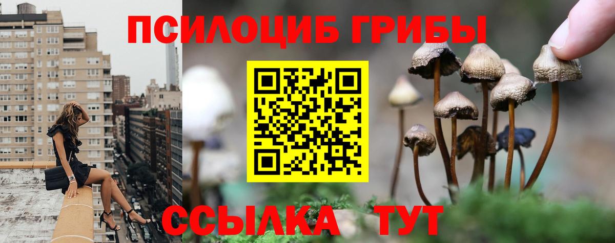 Галлюциногенные грибы Psilocybe  Галлюциногенные грибы GOLDEN TEACHER  Черемхово  Вход с VPN 